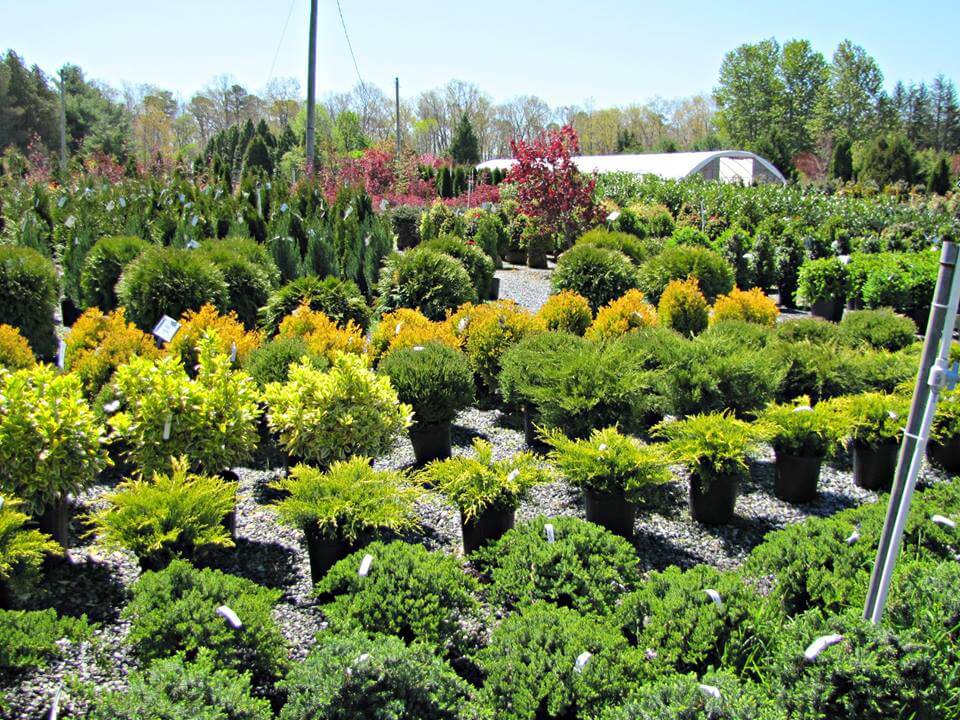 New Jersey Nursery & Landscape Association