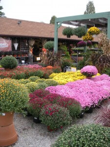 Flaggs Garden Center Landscaping Llcnull