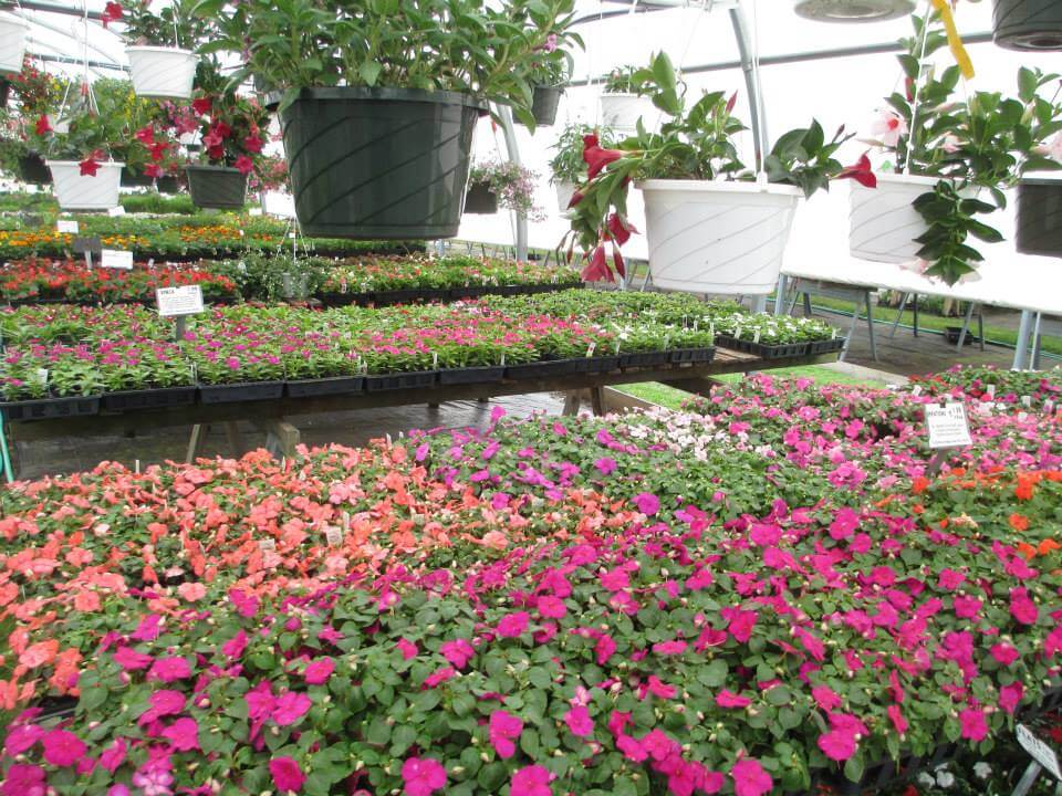 New Jersey Nursery & Landscape Association